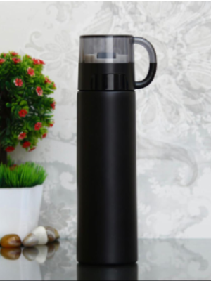 Stainless steel water bottle