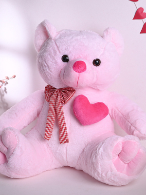 Pink Teddy Bear