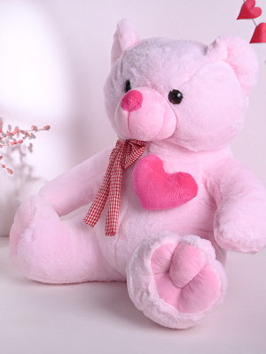 Pink Teddy Bear